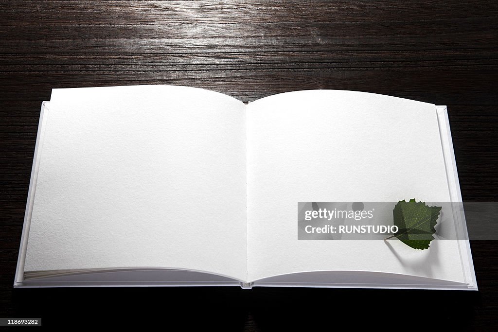 Blank concept,opened book and leaf