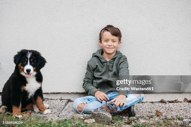 boy playing with his bernese mountain dog in the garden - kid leaning stock pictures, royalty-free photos & images