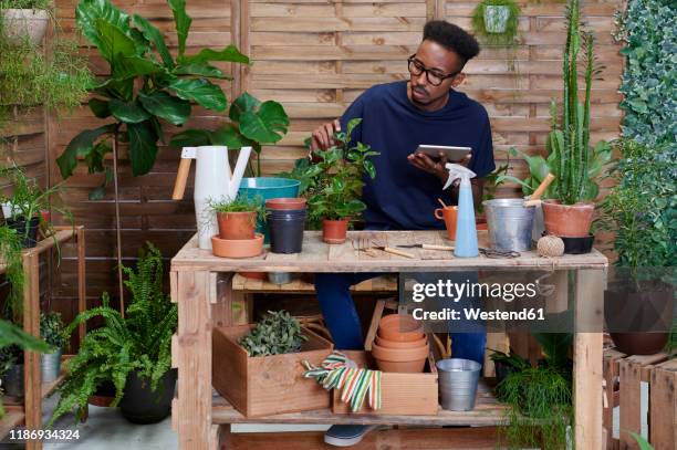 young man using digital tablet on his terrace while gardening - green fingers - fotografias e filmes do acervo