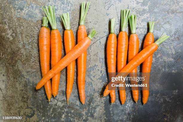 counting carrots - number 10 stock pictures, royalty-free photos & images