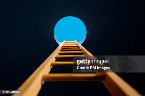 Ladder though hole in ceiling Ladder though hole in ceiling
