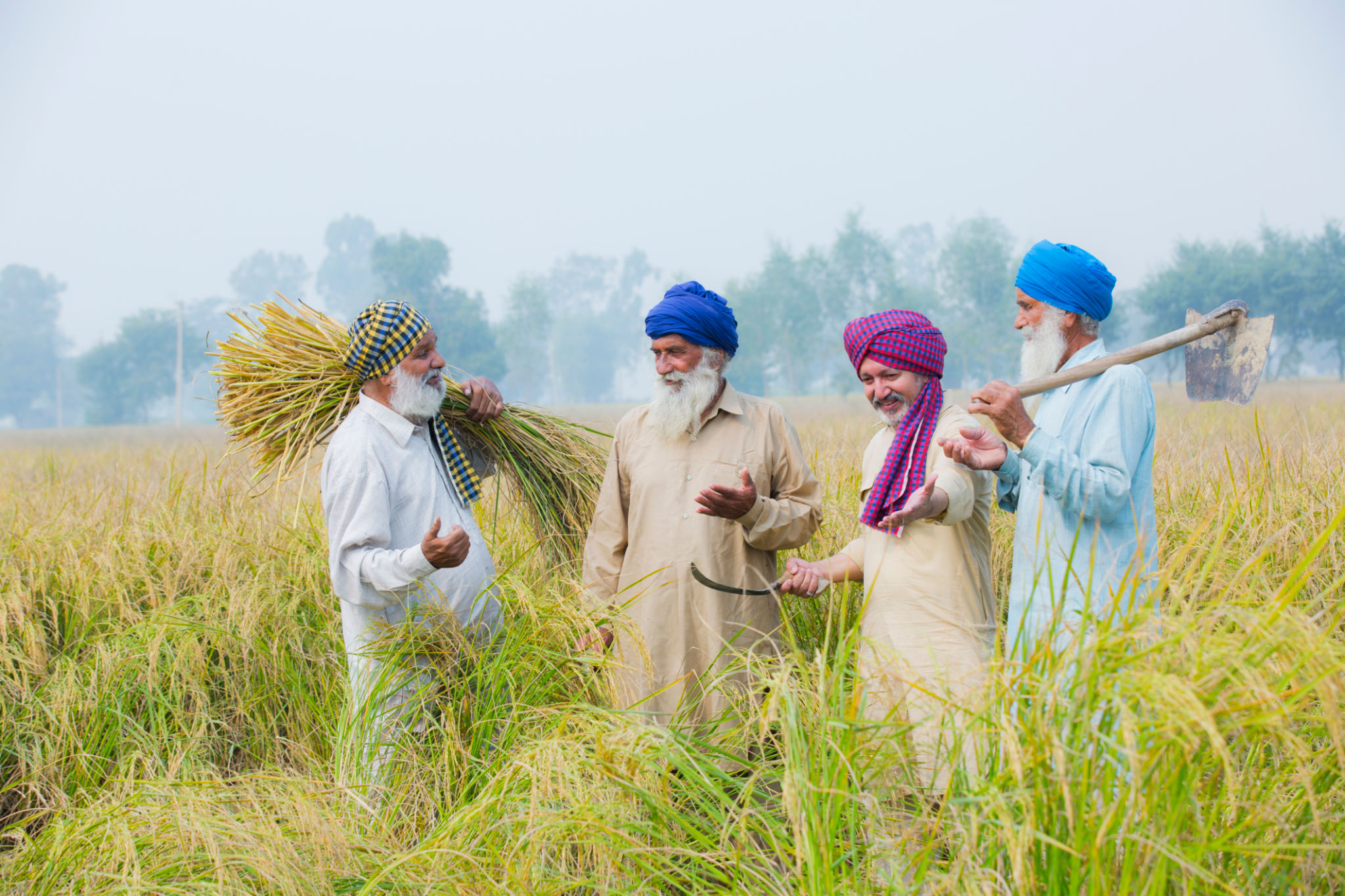 punjab job market