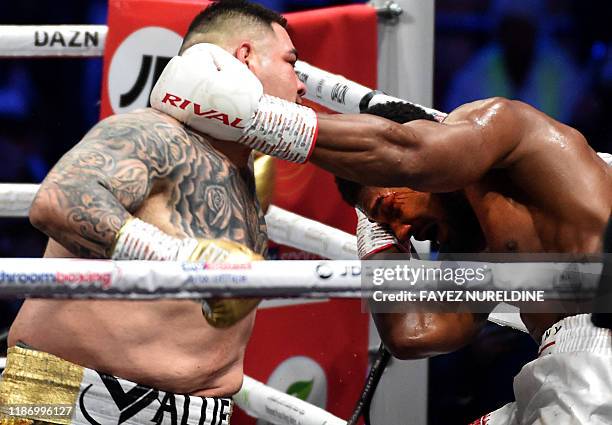 Andy Rese Boxer 467 Boxer Profile Stock Photos, High-Res Pictures, and Images - Getty ...