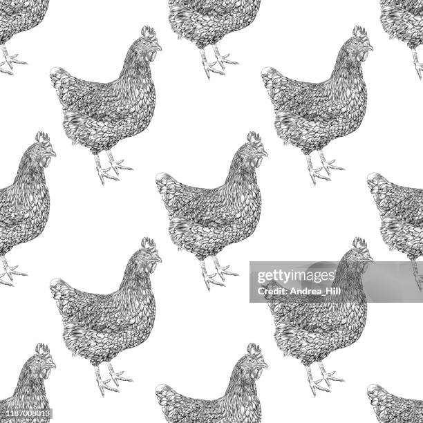 ilustrações de stock, clip art, desenhos animados e ícones de chickens seamless pattern vector illustration in watercolor and ink - rooster print