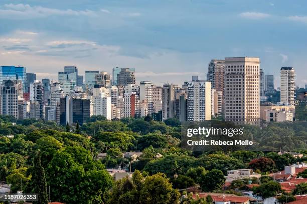 são paulo cityscape showing the faria lima avenue region, brazil - treetop city stock pictures, royalty-free photos & images