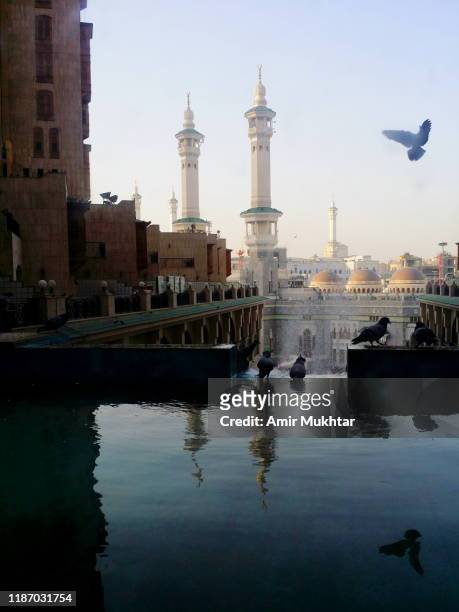 pigeons flying and water infront of the minarets of al haram mosque - al haram mosque stockfoto's en -beelden