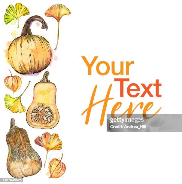 fall items with copy space. vector ink and watercolor drawing of fall pumpkins, squash, leaves, and more - pumpkin seed stock illustrations