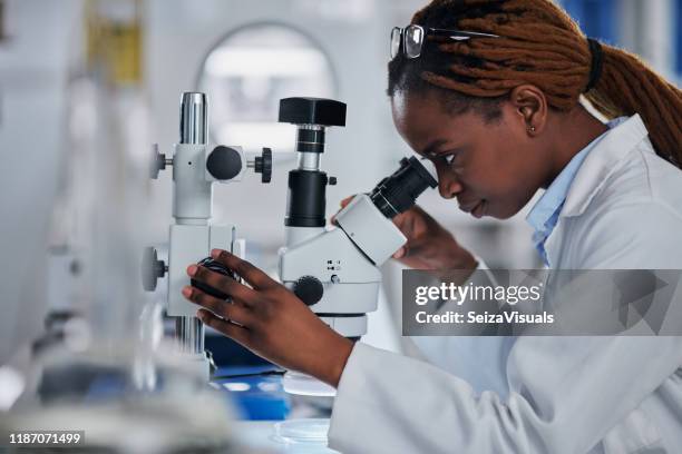 Pathologist Image Pathologist Microscope Photos and Premium High Res Pictures - Getty Images