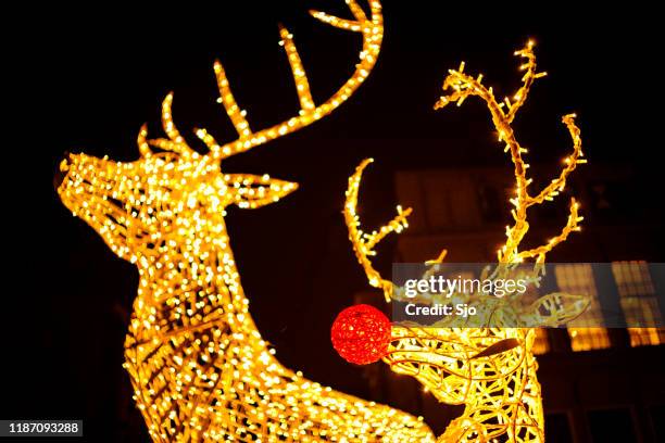 christmas light deer decorations in front of city hall in zwolle with snow during a cold winter night - rudolph the red nosed reindeer stock pictures, royalty-free photos & images
