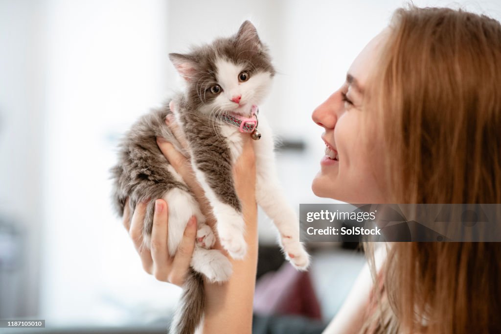The Best of Friends