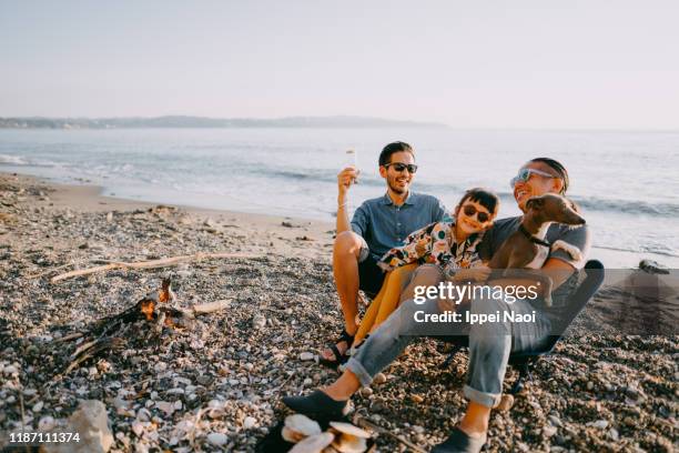 family with dog having fun at beach camping site - canine stock pictures, royalty-free photos & images