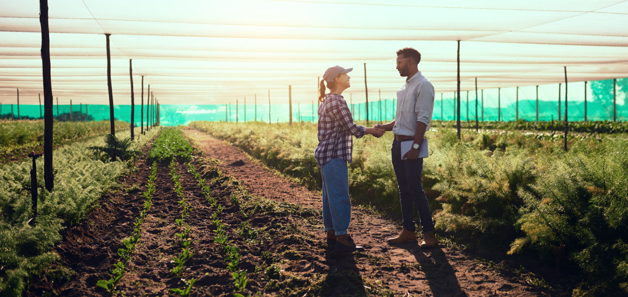 farmers thriving business