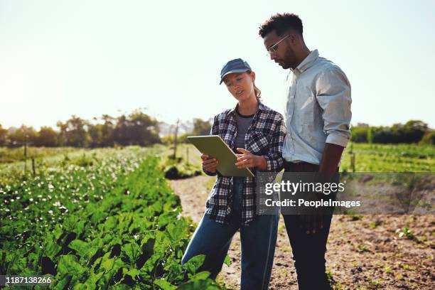 Werfen Sie einfach einen Blick auf diese Wachstumszahlen