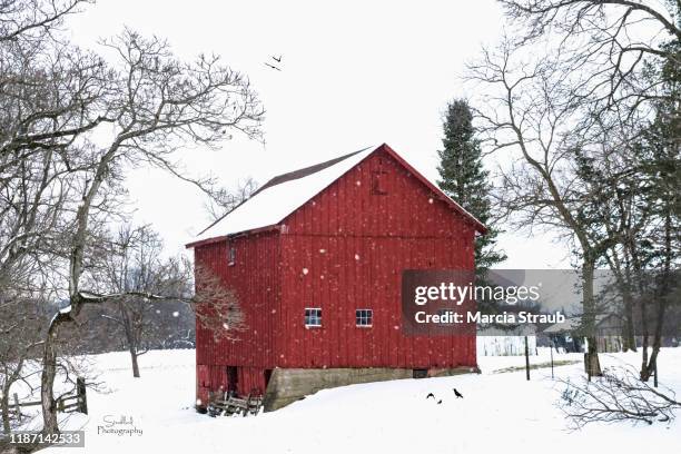 red barn on a snowy day - illinois countryside stock pictures, royalty-free photos & images