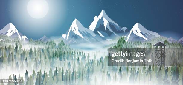 pine forest and watchtower panorama at night - backpacking stock illustrations