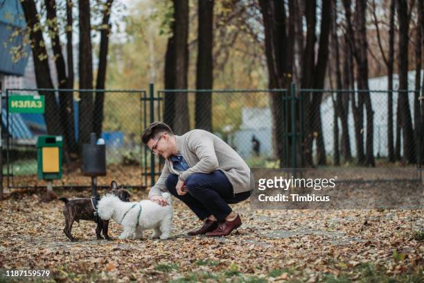 first meeting - dog park stock pictures, royalty-free photos & images