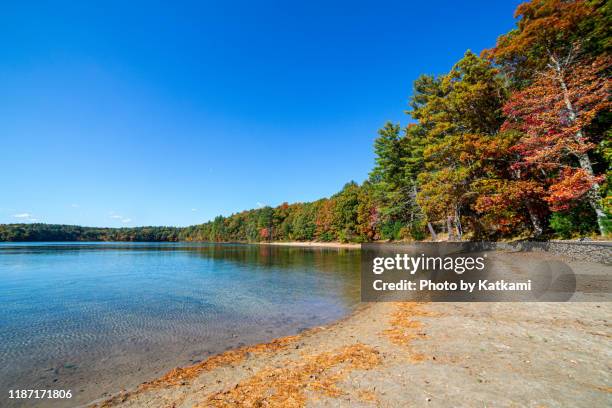 walden pond, concord, ma - massachusetts beach stock pictures, royalty-free photos & images