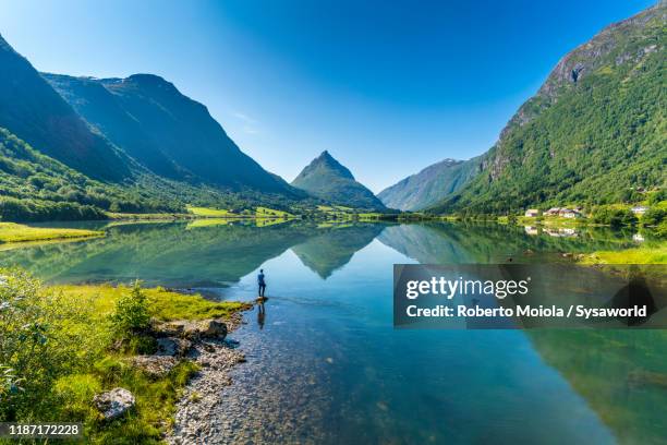 man on water's edge admiring a norwegian fjord, nordfjord, sogn og fjordane county, norway - norwegen 個照片及圖片檔