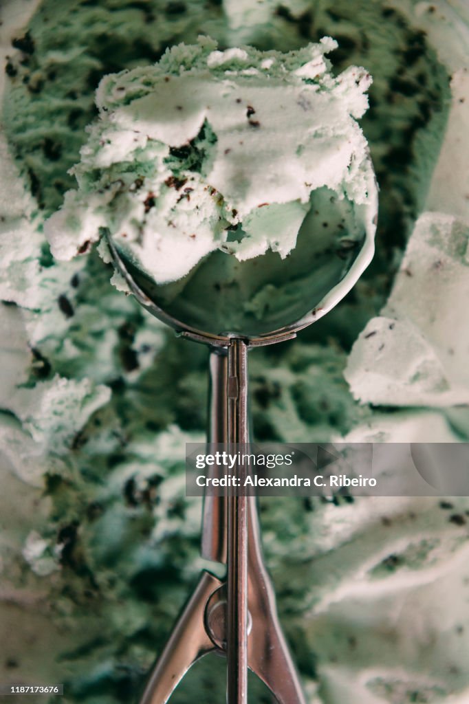 Scoop of mint chocolate chip ice cream