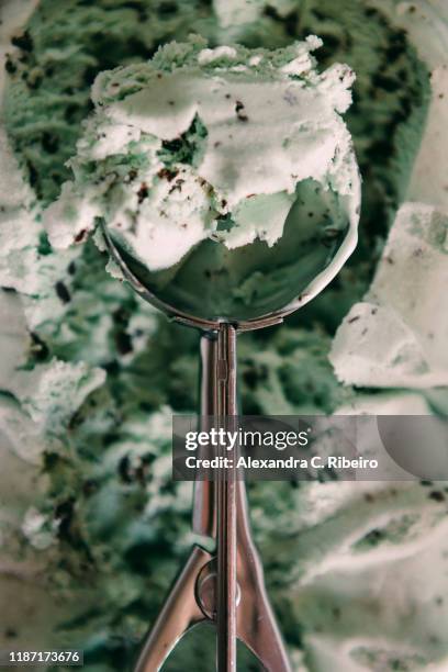 scoop of mint chocolate chip ice cream - mint chocolate chip ice cream scoop stock pictures, royalty-free photos & images