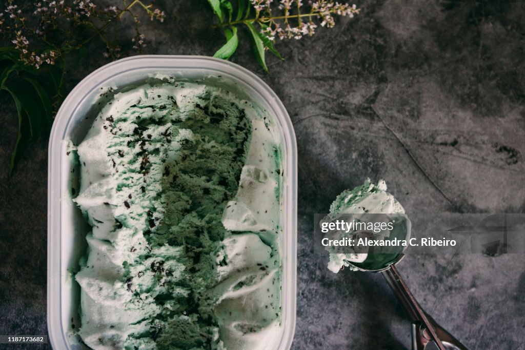 Mint chocolate ice cream with scoop