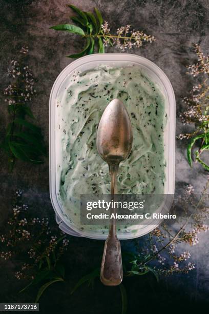 spoon on mint chocolate ice cream with flowers - mint ice cream stock pictures, royalty-free photos & images
