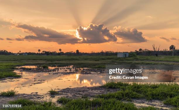 sunset in flamingo visitor center - florida swamp night stock pictures, royalty-free photos & images