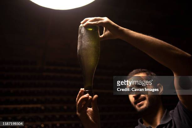 man checking sparkling wine in bottle on light - wine room stock pictures, royalty-free photos & images