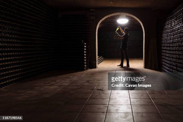 man in wine cellar checking bottle on light - chai photos et images de collection