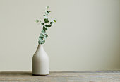 Eucalyptus branch in a vase on the rustic wooden table