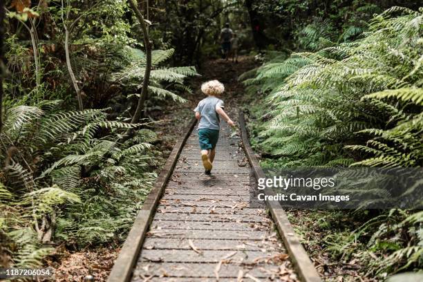 young child running on fern lined path through a forest - independent stock pictures, royalty-free photos & images