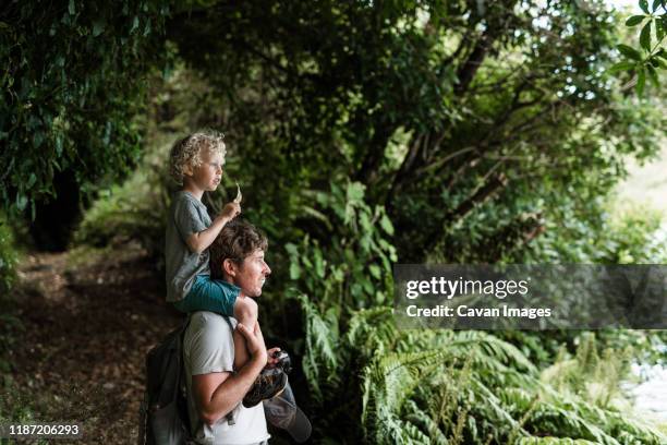 young child sitting on father's shoulders in a forest - kid in a tree stock-fotos und bilder