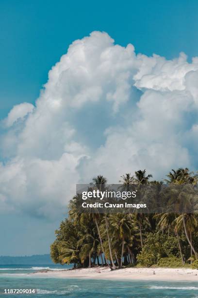 big clouds over a beach with palm trees - mentawai islands stock pictures, royalty-free photos & images