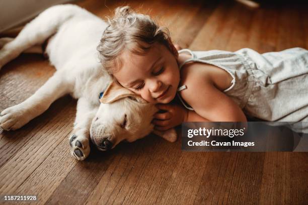 yellow labrador lab puppy snuggling with little girl - labrador puppy stock pictures, royalty-free photos & images