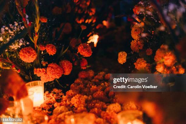 day of the dead / dia de los muertos adorned graves in the cemetery in tzintzuntzan, mexico - candle death stock pictures, royalty-free photos & images