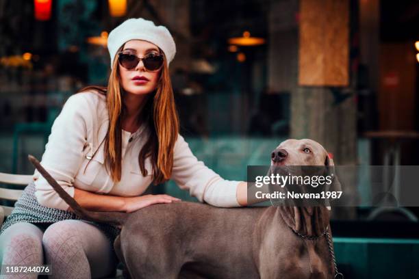 fashion woman and her dog. city concept - well dressed dog stock pictures, royalty-free photos & images