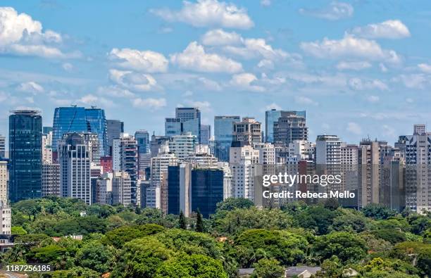 urban skyline crowded with skyscrapers and treetops, são paulo, brazi - brazil skyline stock pictures, royalty-free photos & images