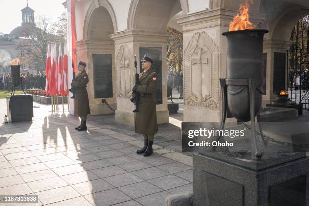 celebraciones del 101o aniversario del día de la independencia de polonia en varsovia - polish military fotografías e imágenes de stock