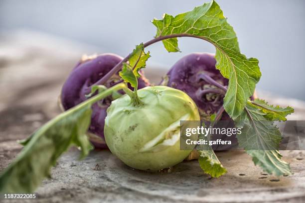 cabbage turnip - kohlrabi stock pictures, royalty-free photos & images