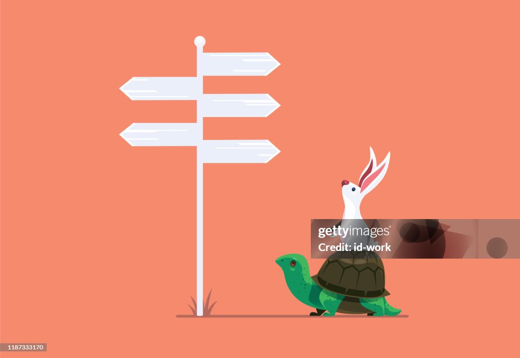 Rabbit And Tortoise Finding Direction High-Res Vector Graphic - Getty ...