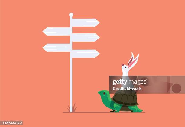 rabbit and tortoise finding direction - hare stock illustrations