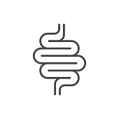 Intestines line icon or digestion system symbol