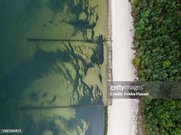 koserow strand drohnenfoto - algue bleue photos et images de collection