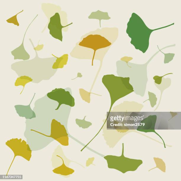 ginkgo biloba leaves background - ginkgo stock illustrations