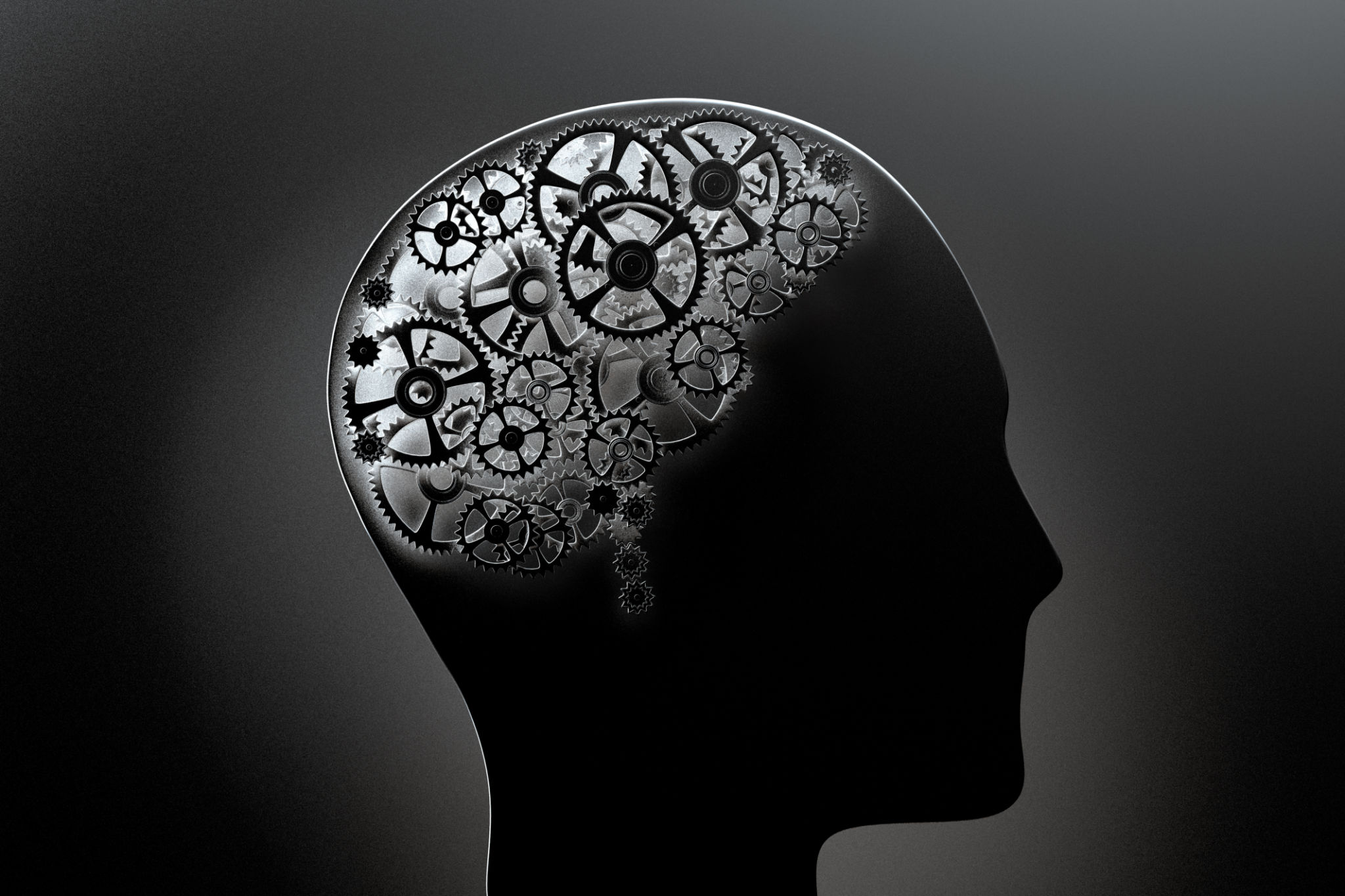 a conceptual image of a human brain made of cogwheels a conceptual image of a human brain made of cogwheels