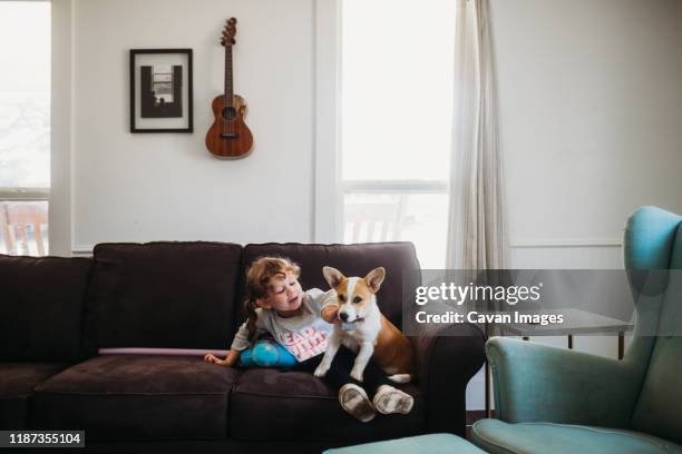 young girl playing with corgi puppy on couch in living room - girl on couch with dog foto e immagini stock
