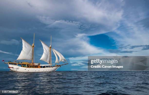 sailboat in the calm waters of raja ampat - dhow stock pictures, royalty-free photos & images