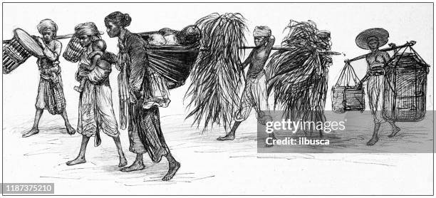antique illustration: javanese people - malay lady stock illustrations