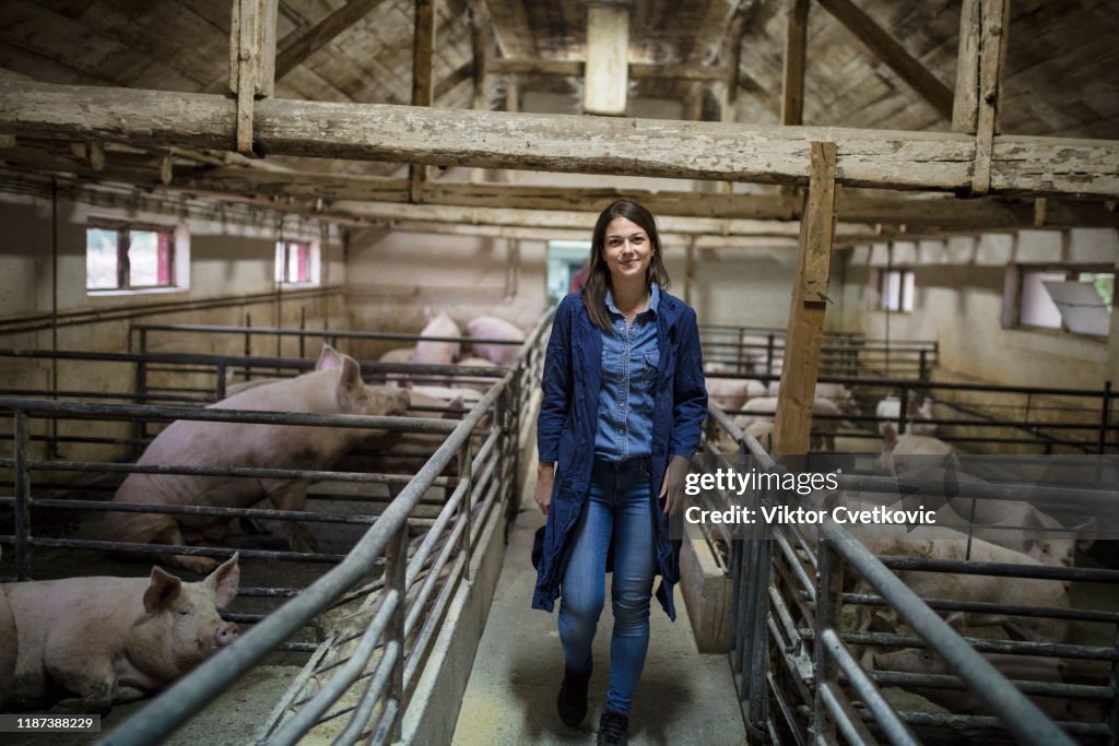 Female farmer in pig farm