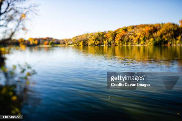 changing leaves on the fox river in appleton, wi - appleton foto e immagini stock